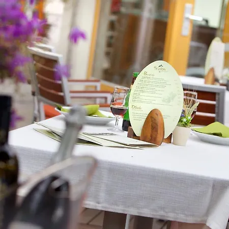 Hotel Hotel Triglav 3*