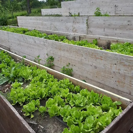 Hotel Triglav Dobrna Hotel