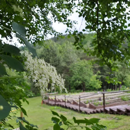 Hotel Triglav Dobrna 3* Dobrna