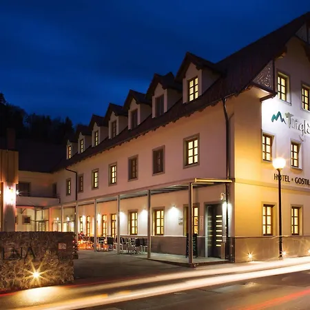 Hotel Triglav Dobrna Hotel