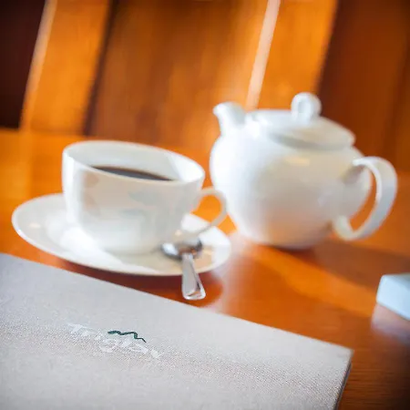 Hotel Hotel Triglav Dobrna 3*