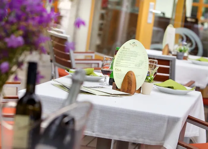 Hotel Hotel Triglav Dobrna 3*