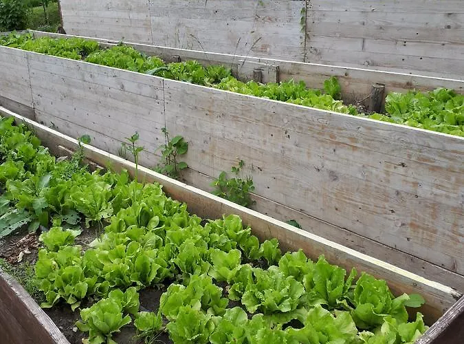 Hotel Triglav Dobrna Hotel