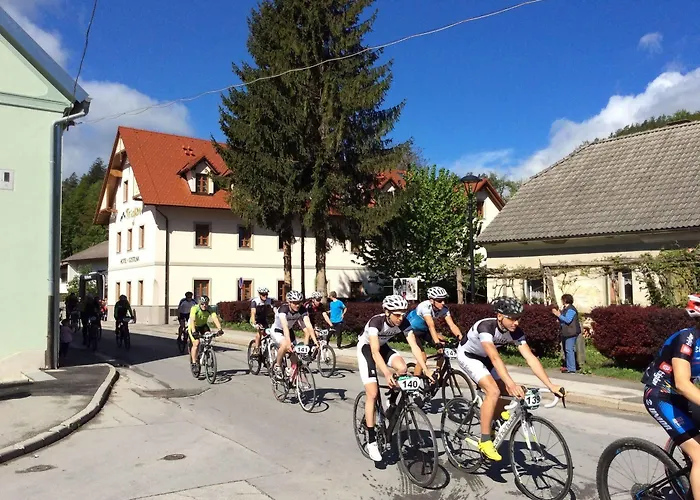 Hotel Triglav Dobrna 3*